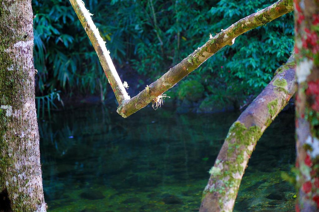 Refugio Ecologico Amadamata Guest house 2*